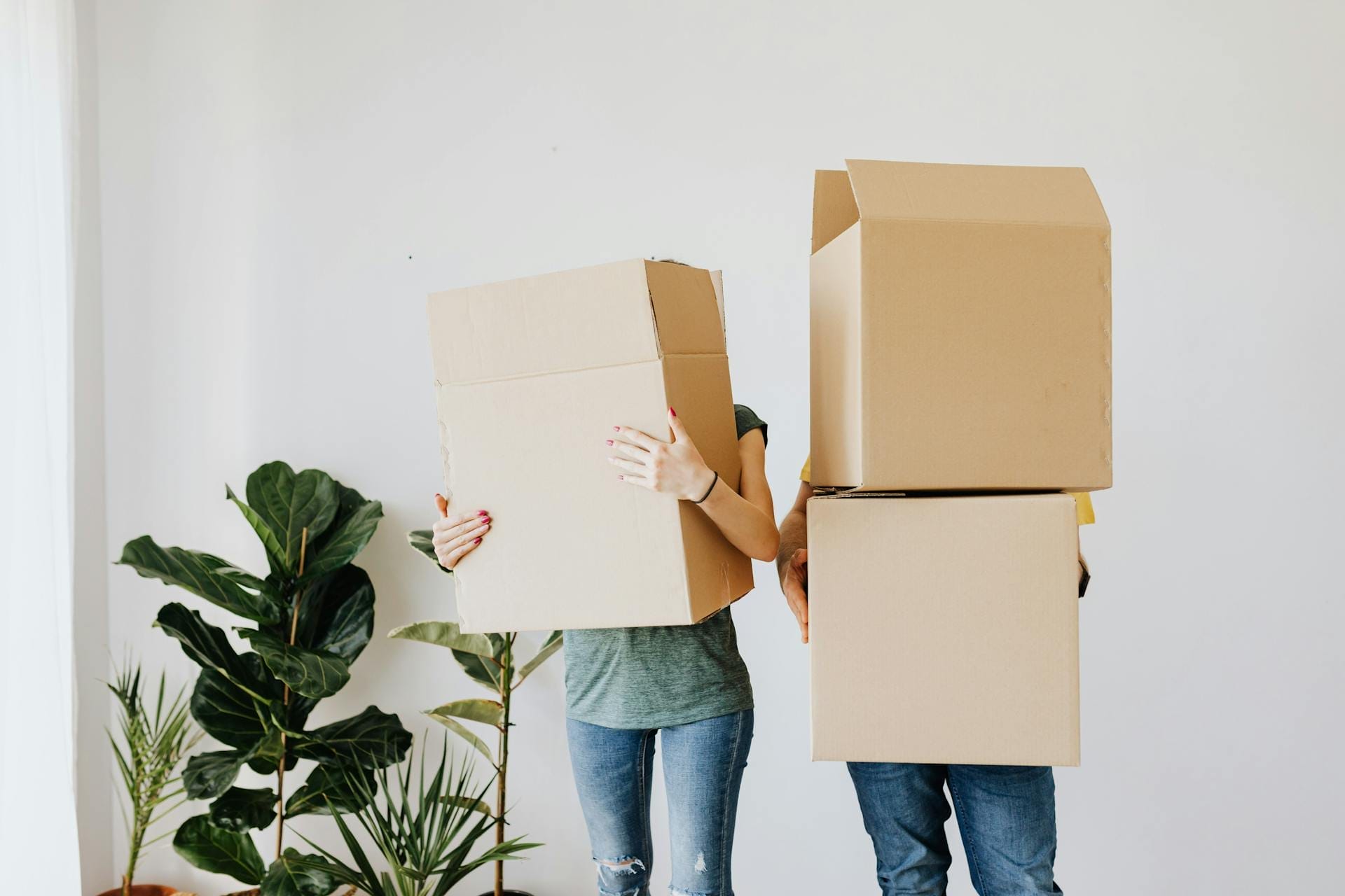 Two people standing side by side hold large cardboard boxes in front of their torsos, partially obscuring their faces. There are potted plants nearby against a plain white wall.