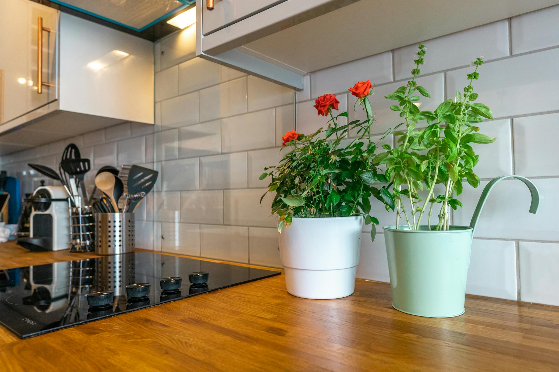 Kitchen counter with a black stovetop, utensil holder, and two potted plants including red flowers and green herbs against white tile backsplash.