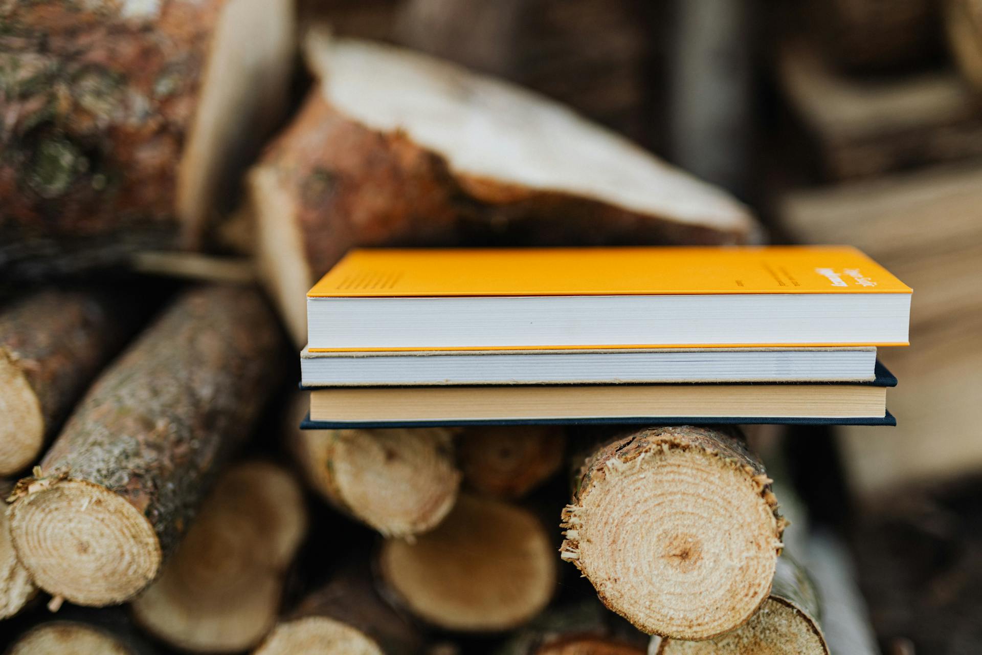 Two books with yellow and beige covers are placed on a stack of cut logs.